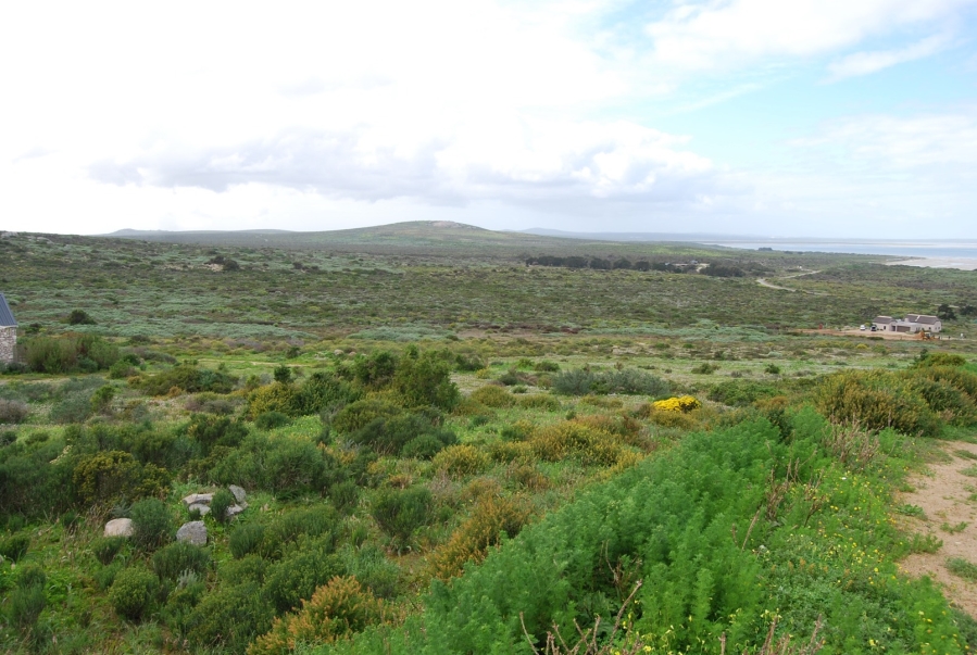 0 Bedroom Property for Sale in Shark Bay Estate Western Cape